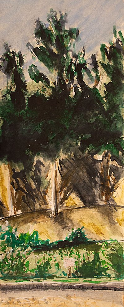 Stern Grove 1