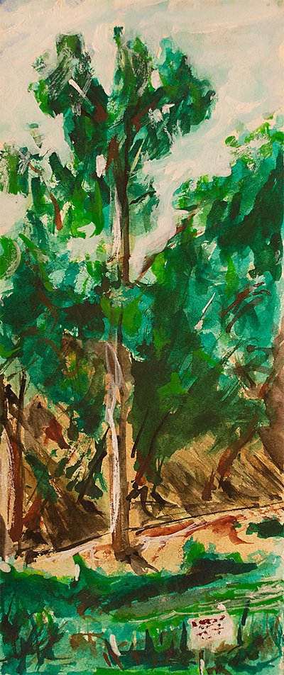 Stern Grove 2