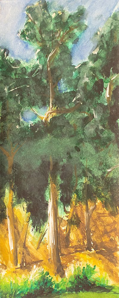 Stern Grove 3