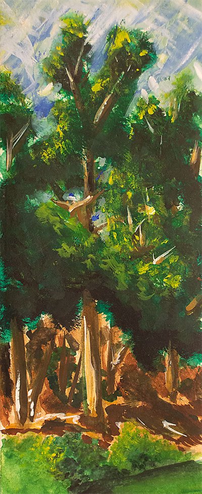 Stern Grove 4