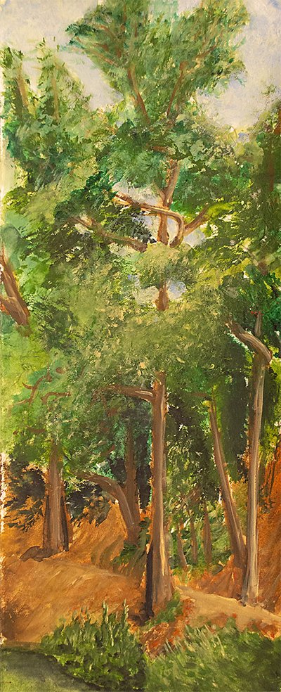 Stern Grove 5