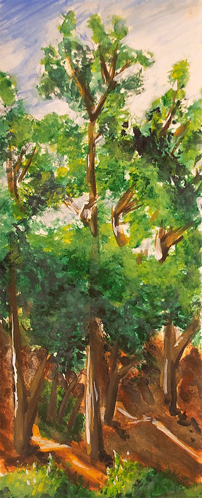 Stern Grove 7
