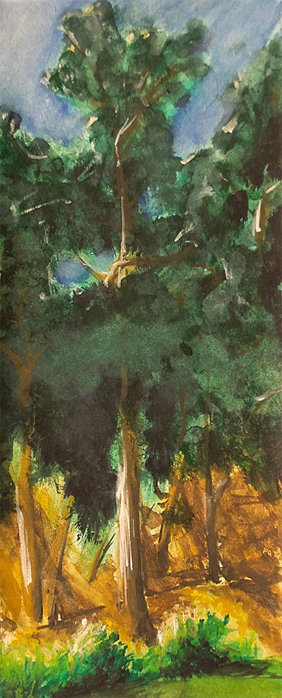 Stern Grove 8